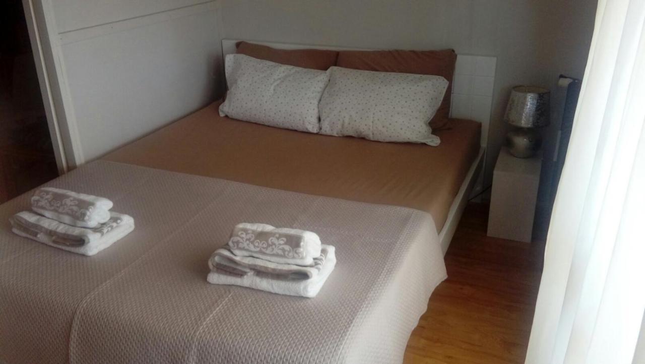 Vila Zora Apartman Banja Koviljača エクステリア 写真