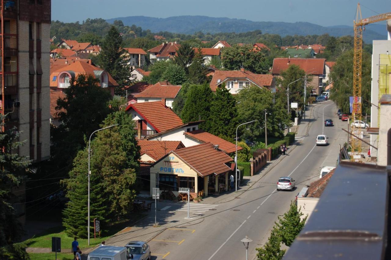 Vila Zora Apartman Banja Koviljača エクステリア 写真