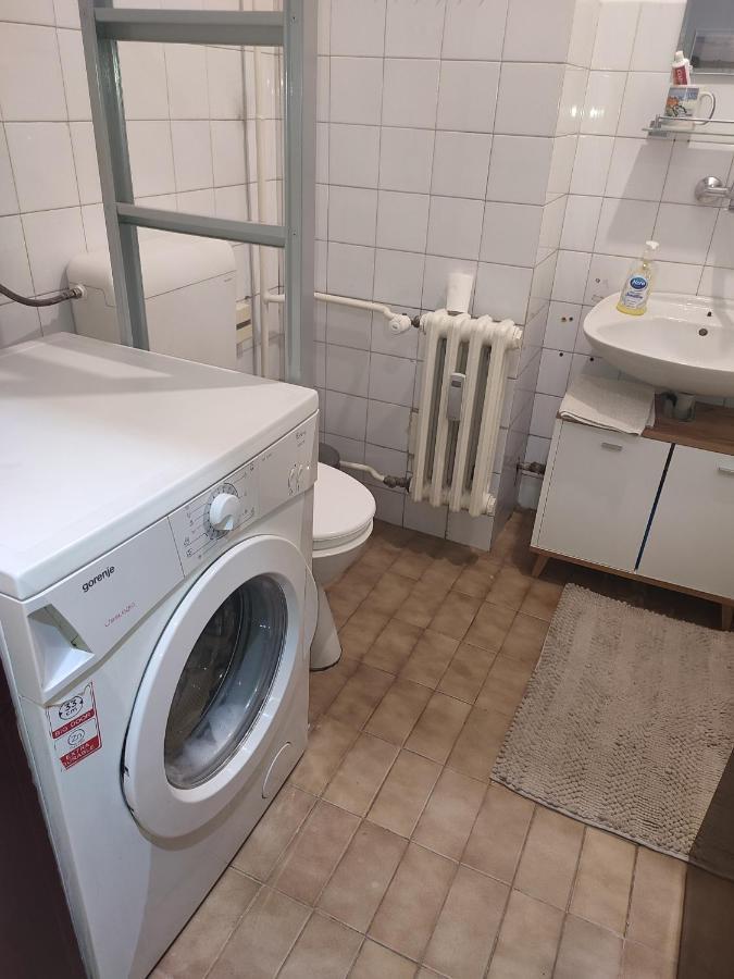 Vila Zora Apartman Banja Koviljača エクステリア 写真