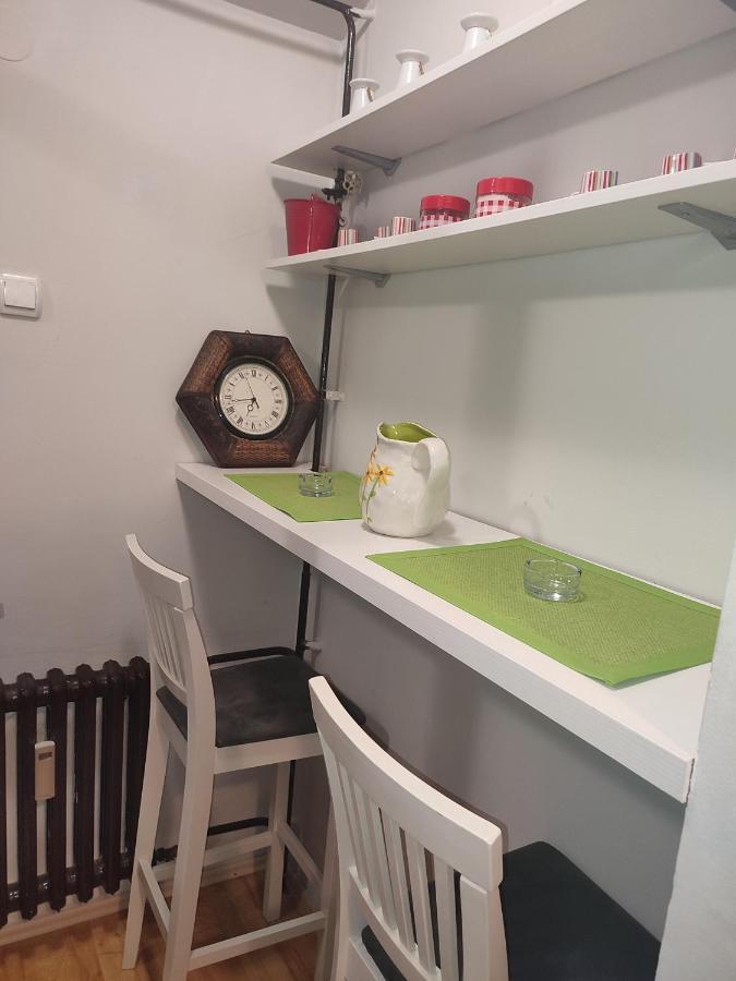 Vila Zora Apartman Banja Koviljača エクステリア 写真
